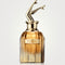 Jean Paul Gaultier Scandal Absolu